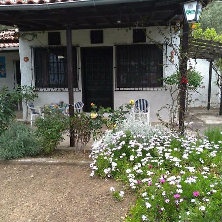 Persefoni House Villa Afissos Exteriör bild