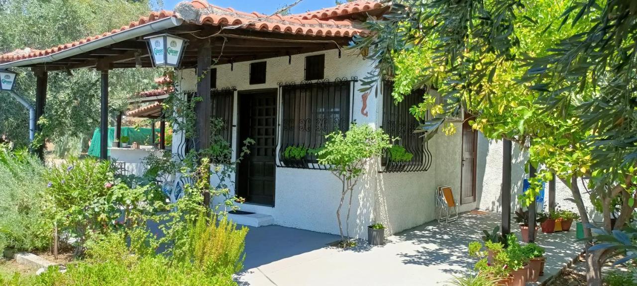 Persefoni House Villa Afissos Exteriör bild