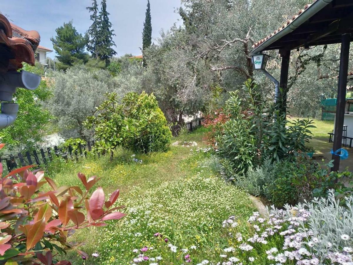 Persefoni House Villa Afissos Exteriör bild